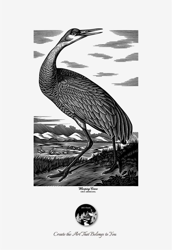 glinhouse.com printmaking kit birds series 88 glinhouse.com printmaking kit birds series 88