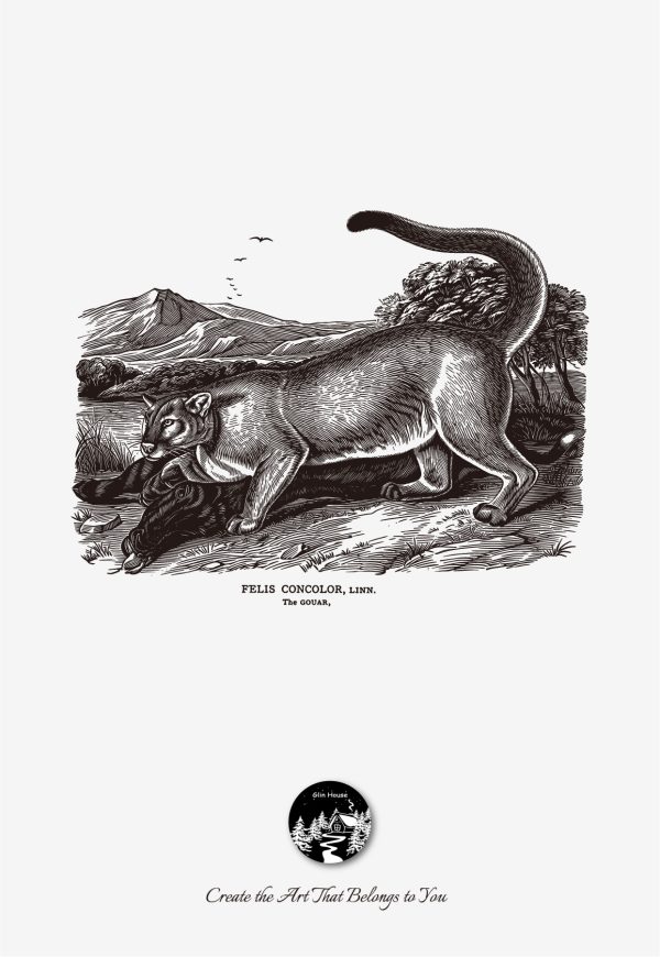 glinhouse.com printmaking kit animals series 24 glinhouse.com printmaking kit animals series 24