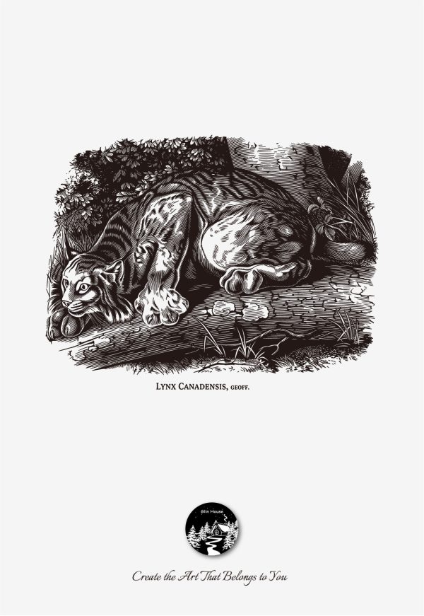 glinhouse.com printmaking kit animals series 27