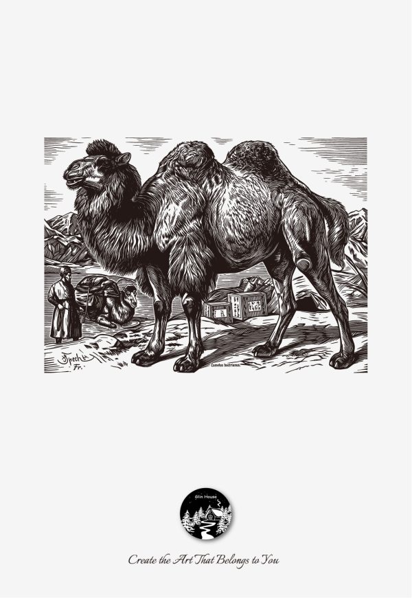 glinhouse.com printmaking kit animals series 5 glinhouse.com printmaking kit animals series 5