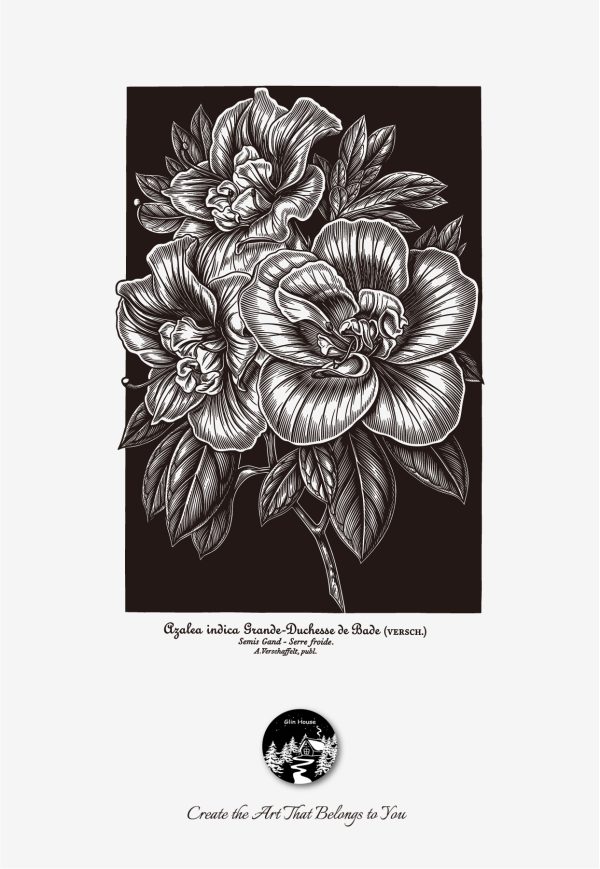 glinhouse.com printmaking kit flower series 11 glinhouse.com printmaking kit flower series 11