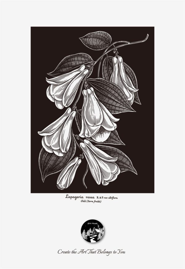 glinhouse.com printmaking kit flower series 12 glinhouse.com printmaking kit flower series 12
