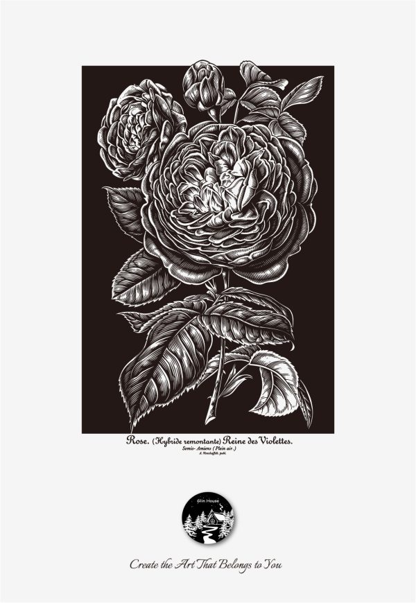 glinhouse.com printmaking kit flower series 13 glinhouse.com printmaking kit flower series 13