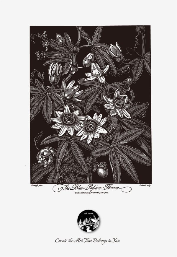 glinhouse.com printmaking kit flower series 15 glinhouse.com printmaking kit flower series 15