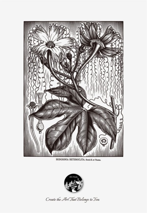 glinhouse.com printmaking kit flower series 17 glinhouse.com printmaking kit flower series 17