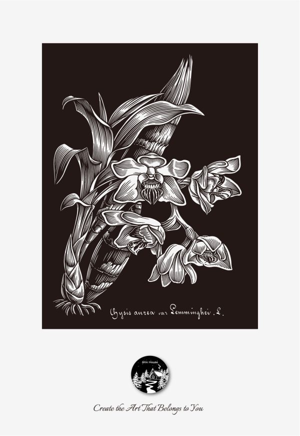 glinhouse.com printmaking kit flower series 21 glinhouse.com printmaking kit flower series 21
