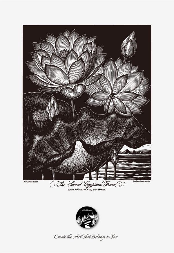 glinhouse.com printmaking kit flower series 25 glinhouse.com printmaking kit flower series 25