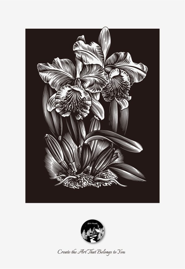 glinhouse.com printmaking kit flower series 8 glinhouse.com printmaking kit flower series 8