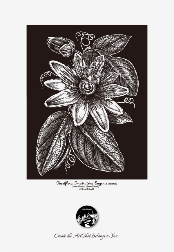 glinhouse.com printmaking kit flower series 9 glinhouse.com printmaking kit flower series 9